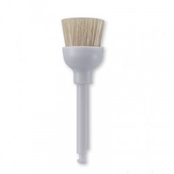 Prophy Brushes RA/ Plastic - Bristle 